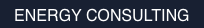 ENERGY CONSULTING